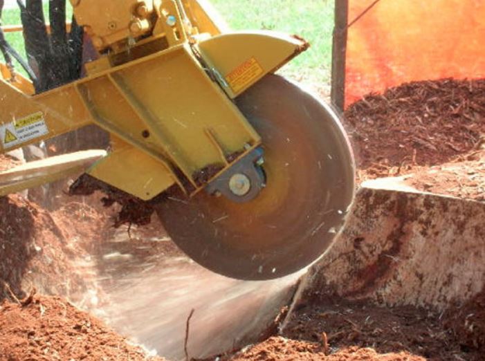 Stump Grinding with a large machine