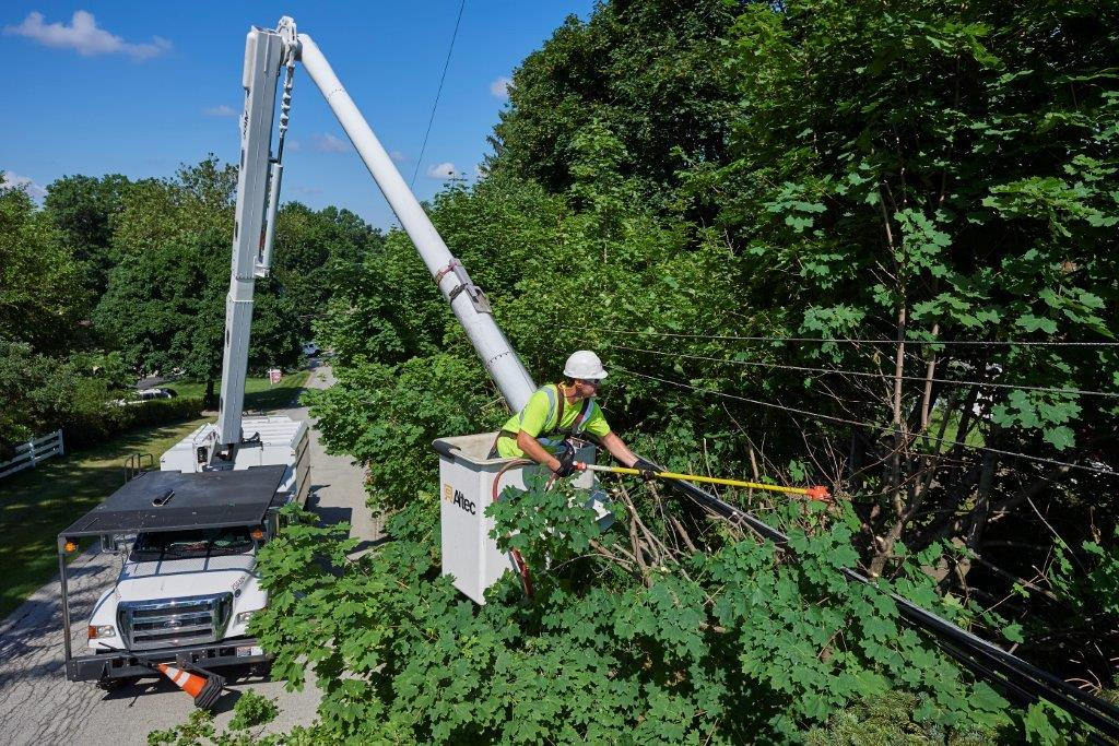 Branch trimming around hydro lines