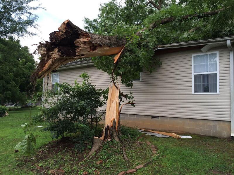 big tree fallen on a house after storm
